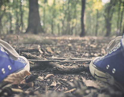 Shoes in a woodland setting